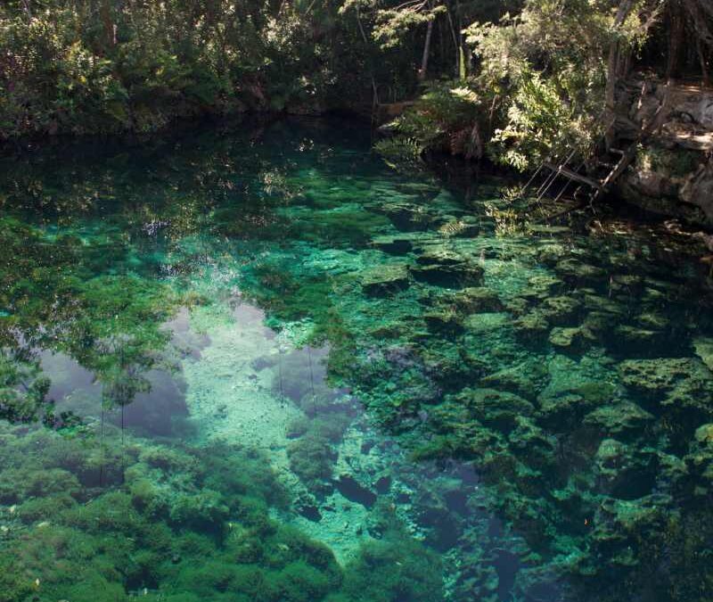 Cenotes in Riviera Maya: A Guide to Explore These Natural Wonders